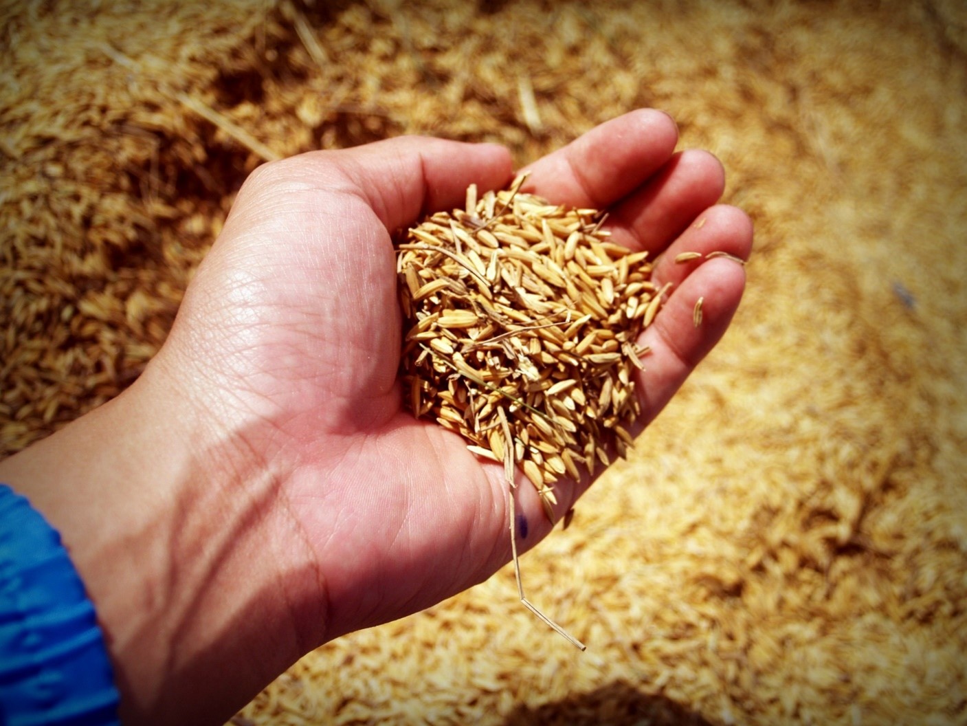 Pay attention to the grain when creating a dimensional data model